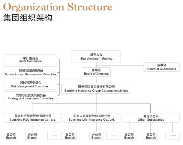 公司组织构架.jpg