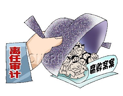 离任审计的漫画图