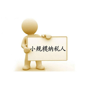 小规模纳税人图